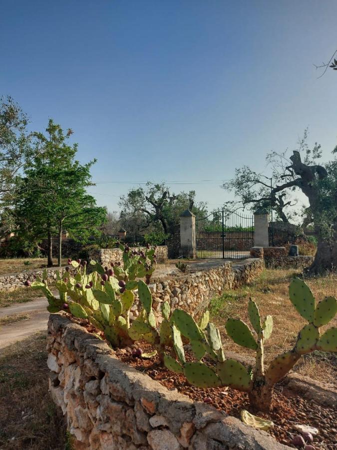 La Petraia Villa Magliano ภายนอก รูปภาพ