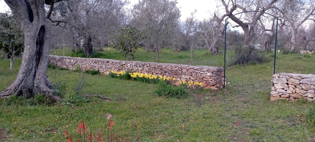 La Petraia Villa Magliano ภายนอก รูปภาพ