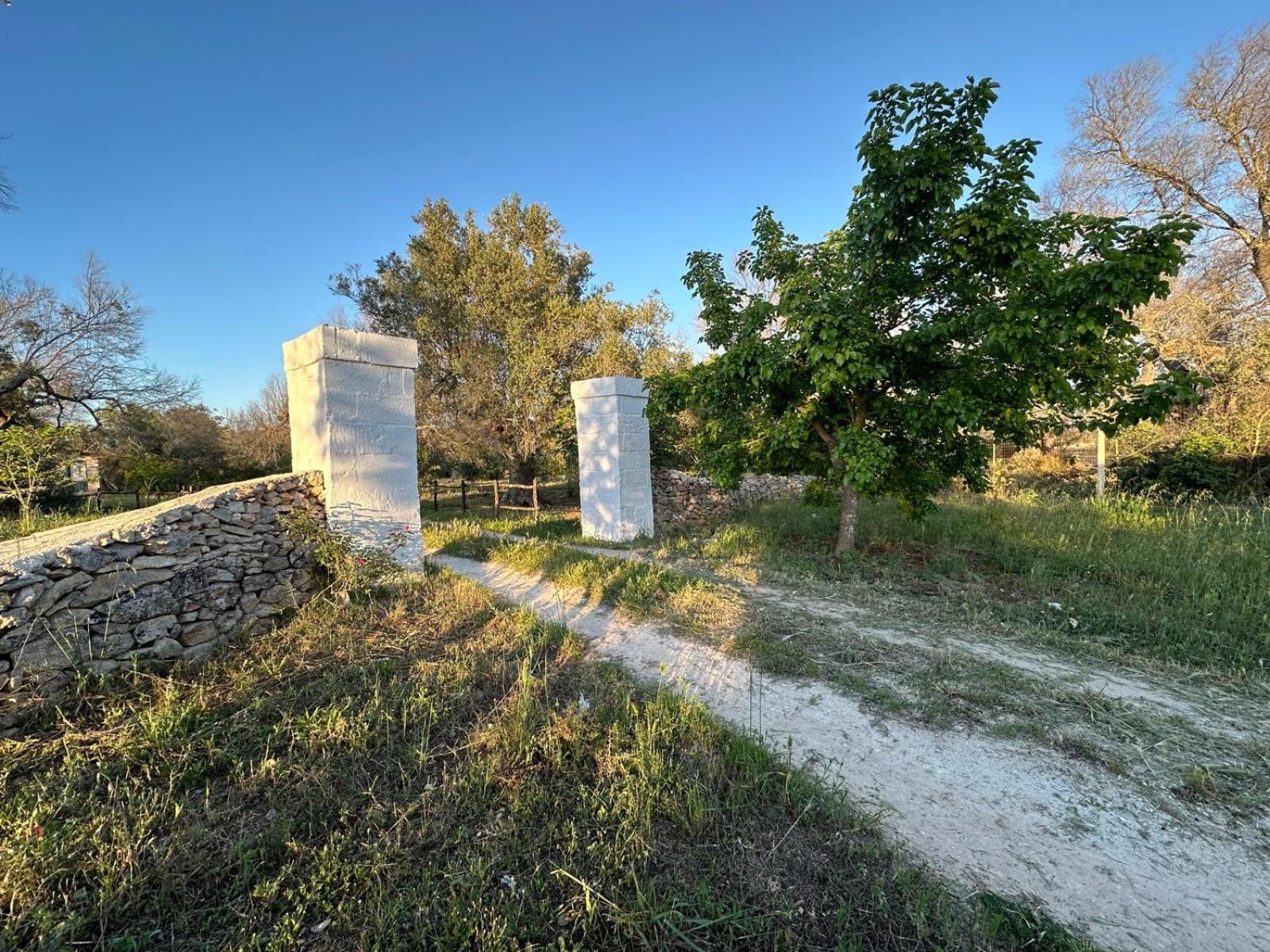 La Petraia Villa Magliano ภายนอก รูปภาพ