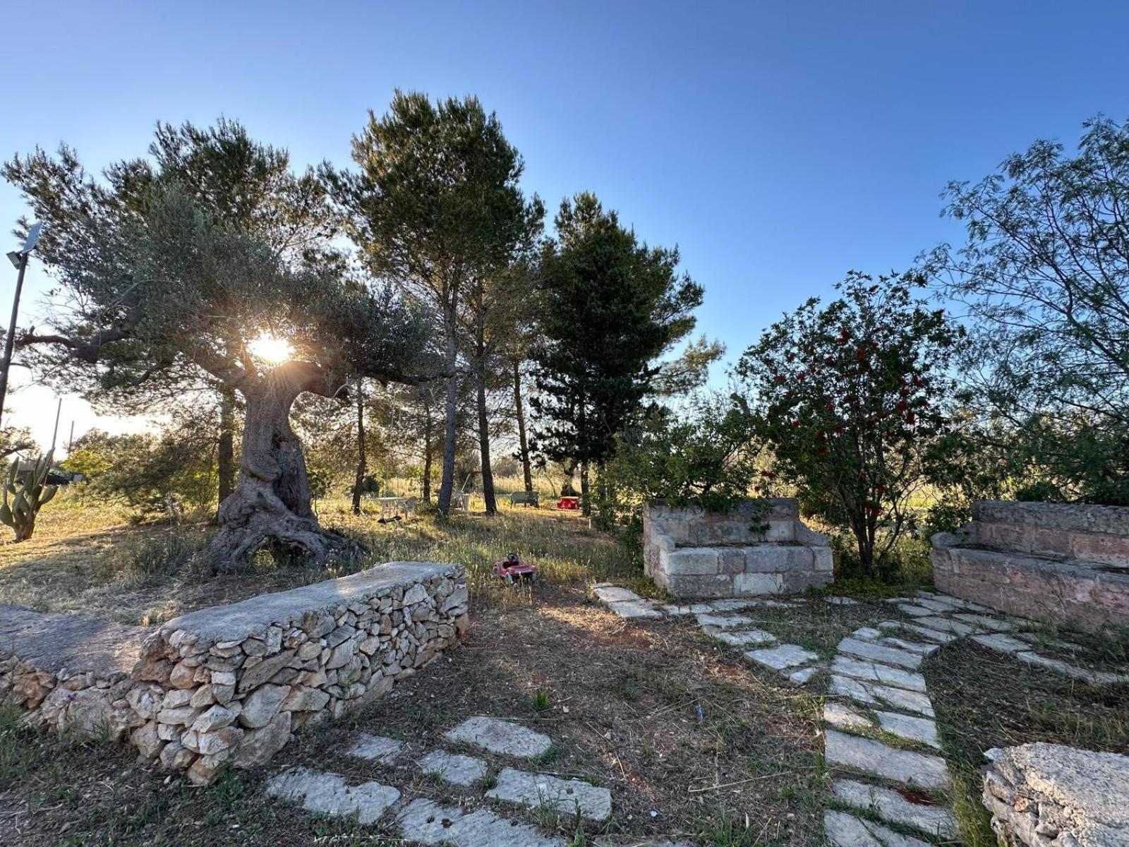 La Petraia Villa Magliano ภายนอก รูปภาพ