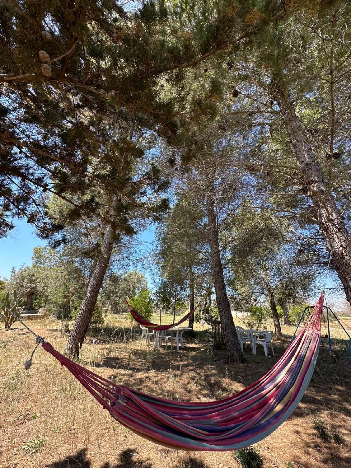 La Petraia Villa Magliano ภายนอก รูปภาพ
